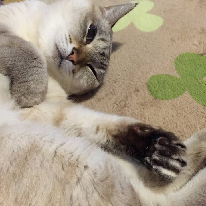 Edd05581 8800 4f50 8c8c a87185928417 1543833575883