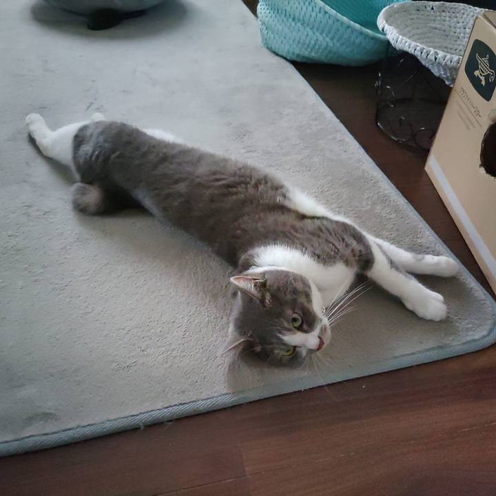 Edd068f1 d736 4960 83fa 963a1e7f8c1f 1719709407311