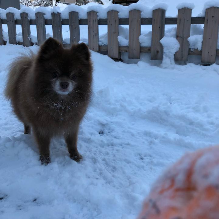 Edd071cd c6a4 47b7 9bf3 5c5aec37b043 1544311420271