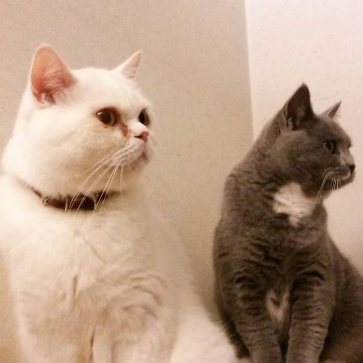 Edd0b073 a7c7 4086 87a6 ed6ea23e28fc 1542147659866