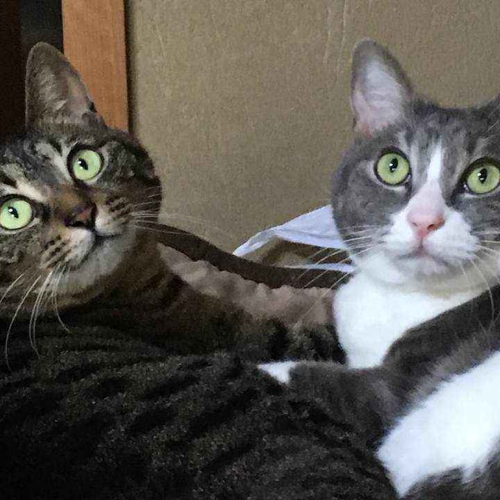 Edd11b98 f4d5 4533 8ce2 170e7caa4d17 1523669423032