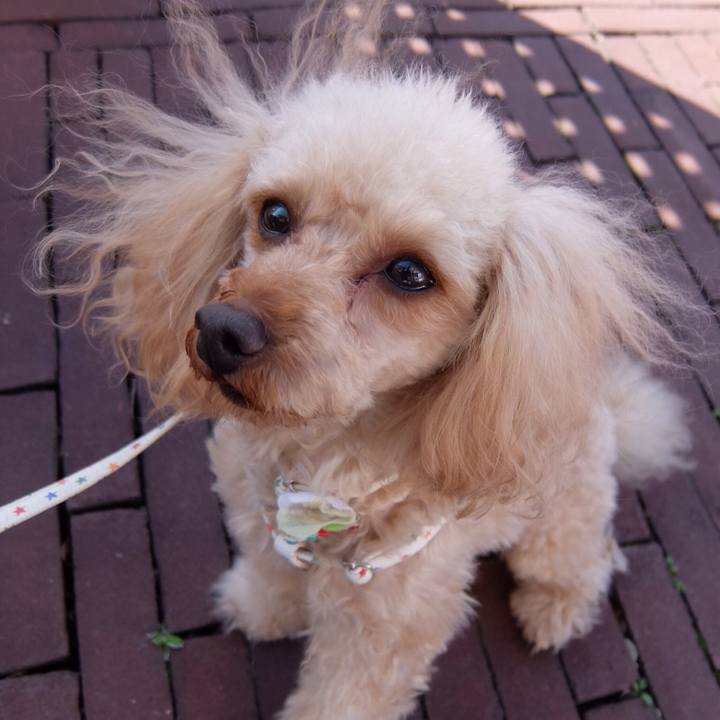 Edd11c85 4a63 444f 8ba0 17d72f710abb 1520164928364