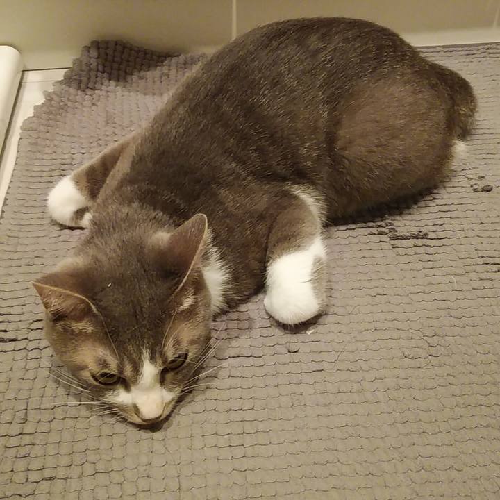 Edd16972 c7d5 4ede b3e8 4e138a4fd6e2 1592835817231