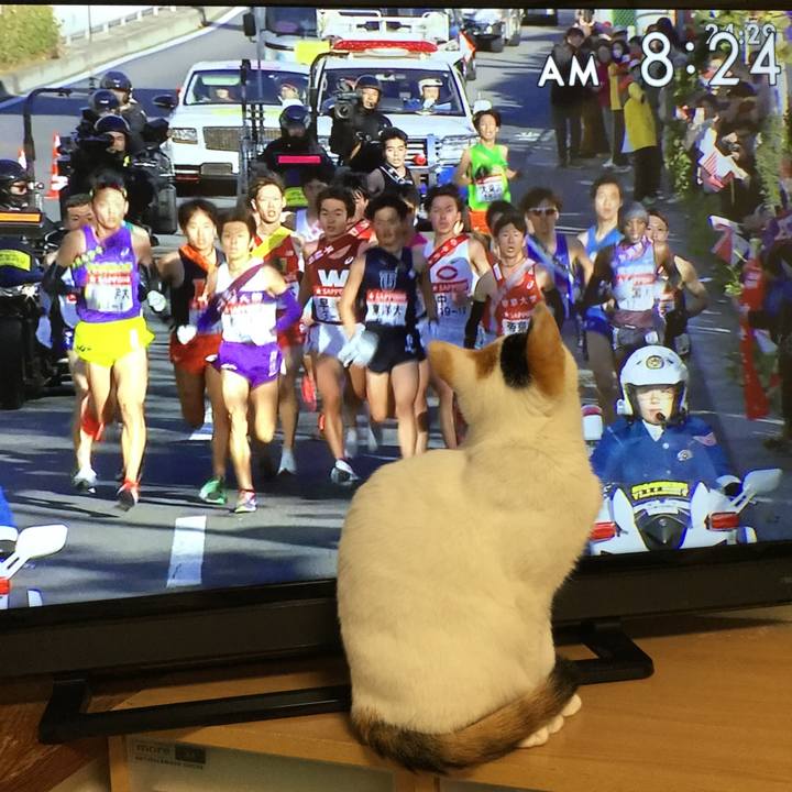 Edd1aa65 1ca4 40f0 a346 57fcf2145962 1546385137185