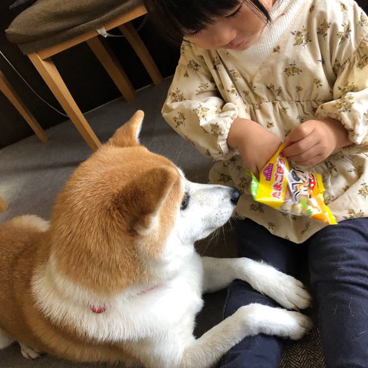 Edd1ad15 09fd 48fb a0c3 3e15b481669f 1606607624030