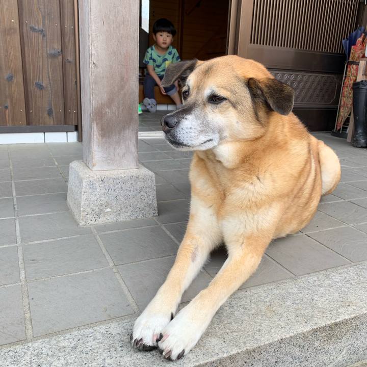 Edd1c467 a5a3 4a5c a04d d5adc7412a7b 1557028493392