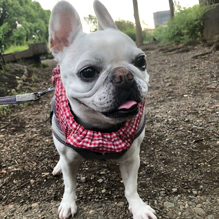 Edd1d3a5 3c71 4ae2 ba10 3b41e85b8587 1685862759969