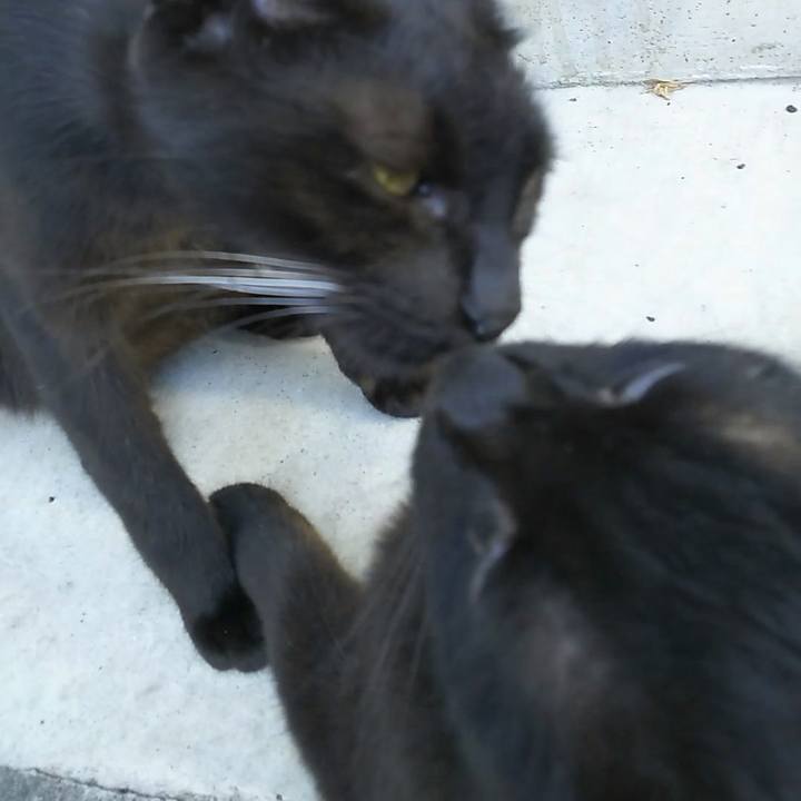 Edd1d9de 0bd2 49c6 b799 ede77ce0176c 1565395183292