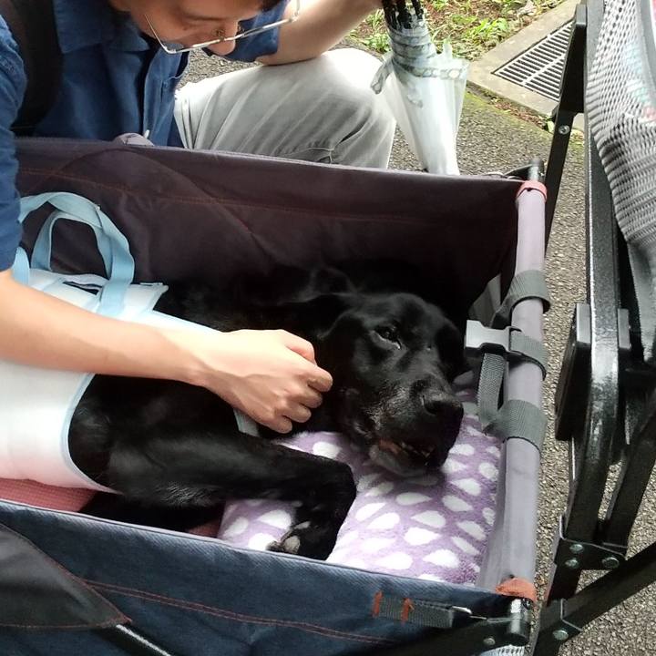 Edd1db72 8058 4d7c 8ee8 38d59f66a58a 1717146611308