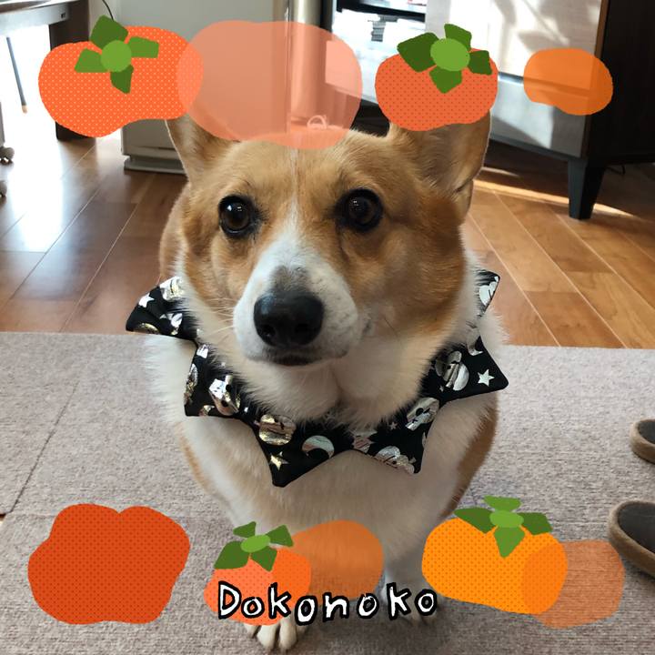 Edd1e4f5 1bb3 456e 80ab c62b240cba03 1762006352092