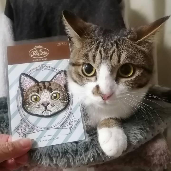 Edd1f539 999e 42e7 b52d 180a6a5dea61 1675827155555