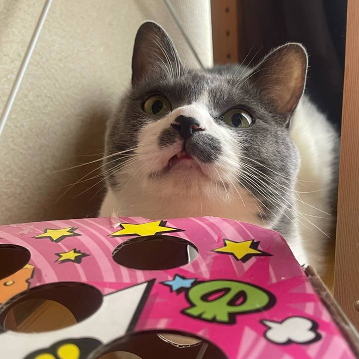 Edd1f9e7 d2ba 4a4b 9b7b b9a8f3128fd2 1751760826038