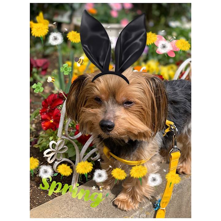 Edd22d53 2f6f 4163 940b c9e7666f760a 1583790946289