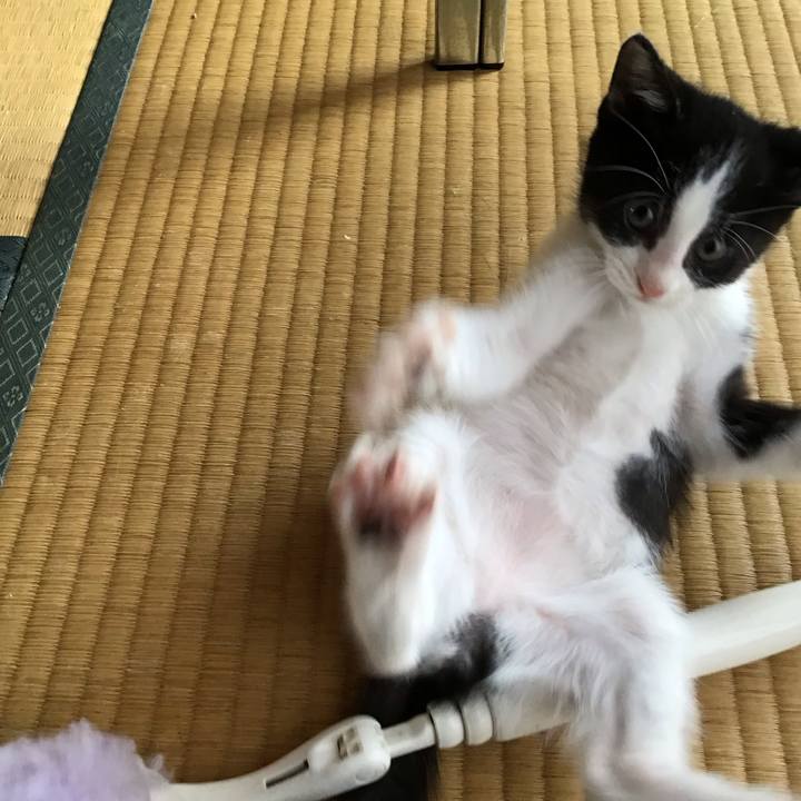 Edd24156 28e7 4cec 9f7c 2c2e98f714bf 1623902450606