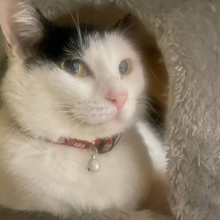 Edd25fe8 e397 49fc 8f1b fc9160a9e10a 1655206881187