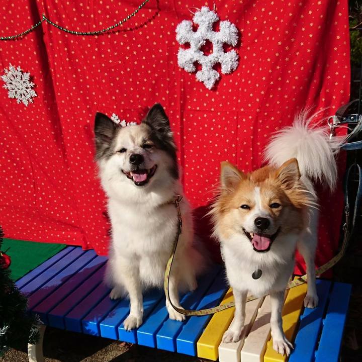 Edd29fca 93e1 436b b11f 9f1ffdbbb37e 1608804513250