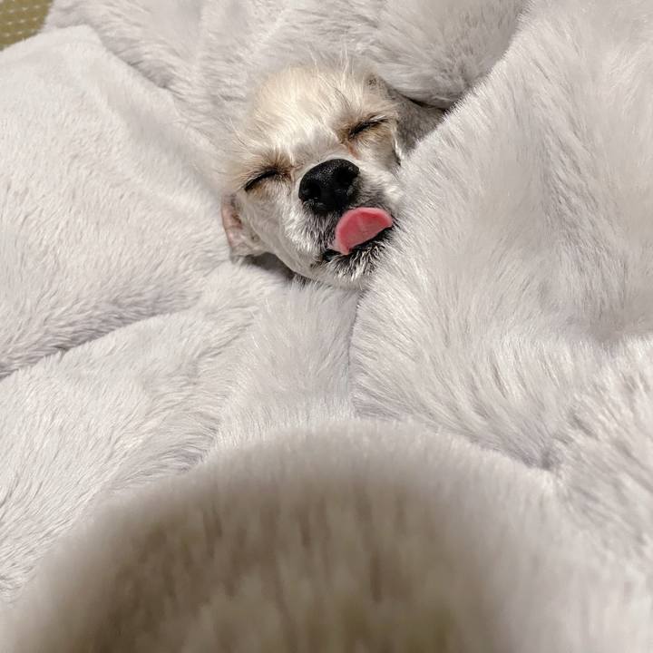 Edd2d926 1c4a 4095 858a 5fcb5b72f076 1764987717798