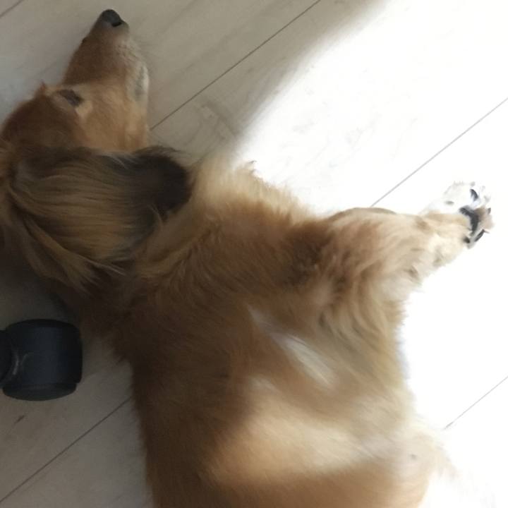 Edd3326d acfa 423d ad58 e2b47e92a051 1592748494771