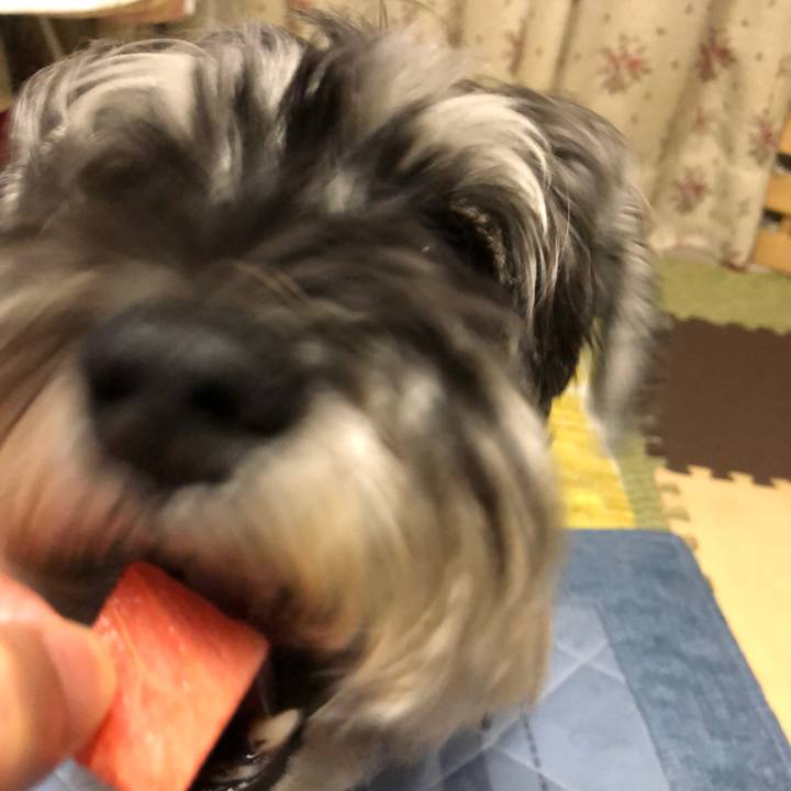 Edd38f8a 4b7a 4bd3 a041 fcbc6f3d7f3b 1690465632443