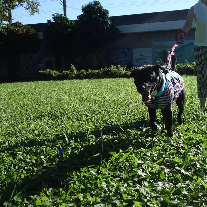 Edd3e211 ef17 4159 946b 81d15a2fa639 1629419195122