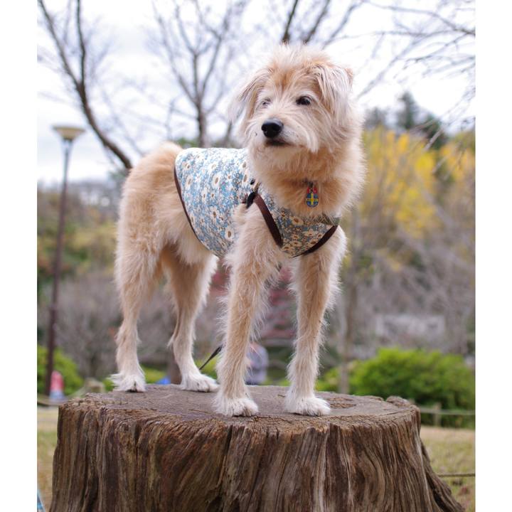 Edd3e448 6eab 4ee6 9644 a0d0b7f1ec80 1606139415905