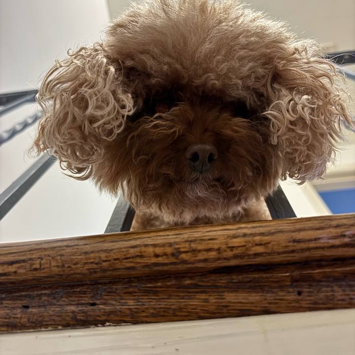 Edd40441 2a09 444d 96a4 5ff870a4732a 1756517550500