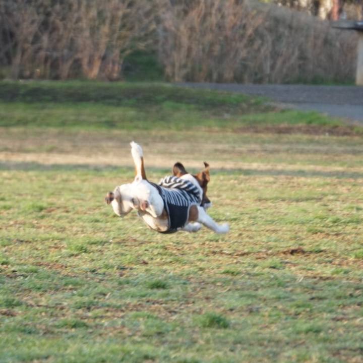 Edd422c8 440e 48ff 80f6 51bfee6af9a1 1552344962692