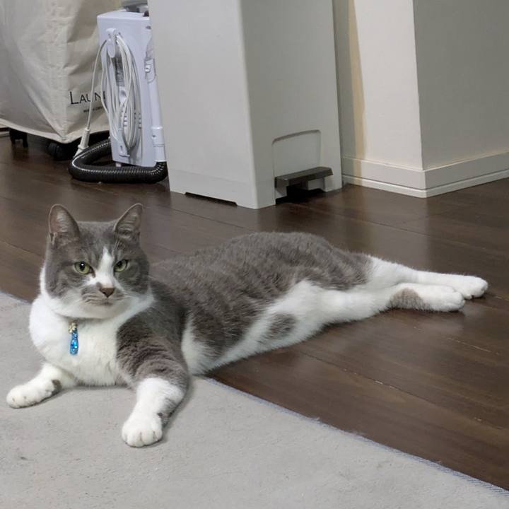 Edd44ccd 7f41 4c5d 92b3 d7640d898d1a 1749043533881