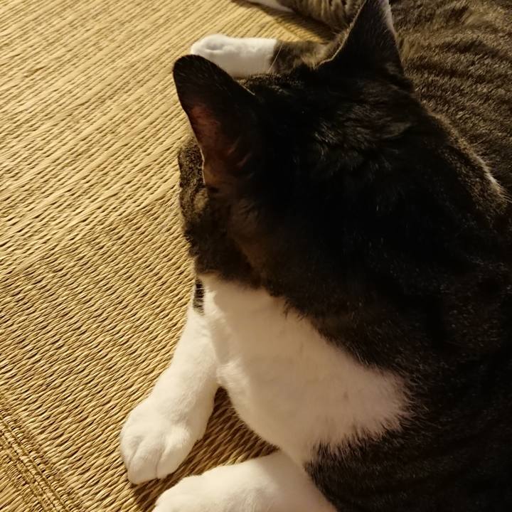 Edd47473 5545 48e9 aa2f 231033d51906 1534820254385