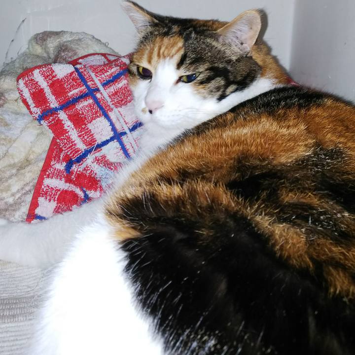 Edd48250 9636 4af1 a9ba 0082d43020b7 1536367660147