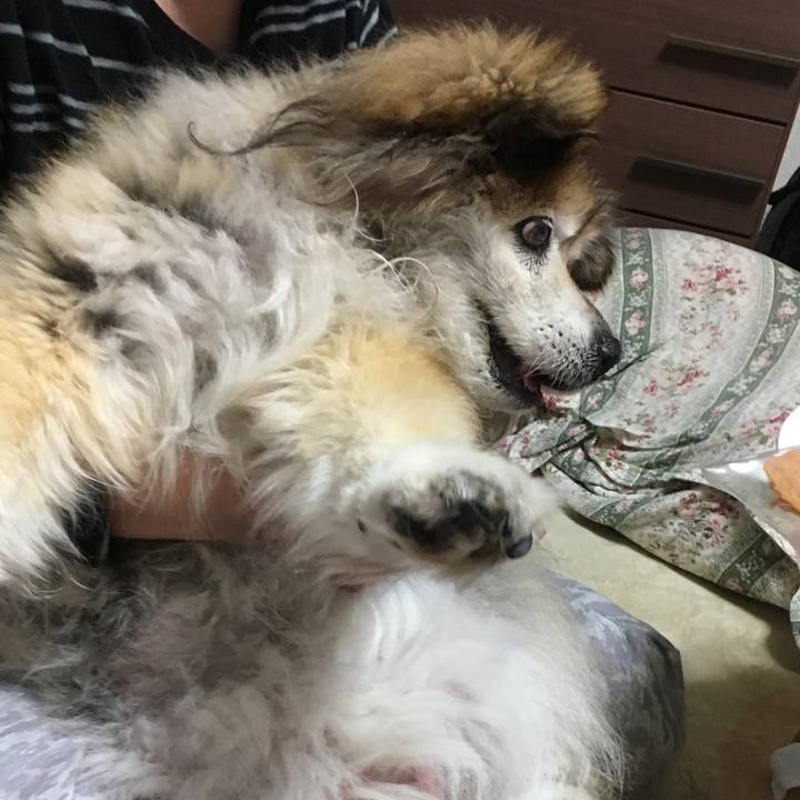 Edd4de88 04e2 4872 be8c 8ea25ee5718a 1623991300654