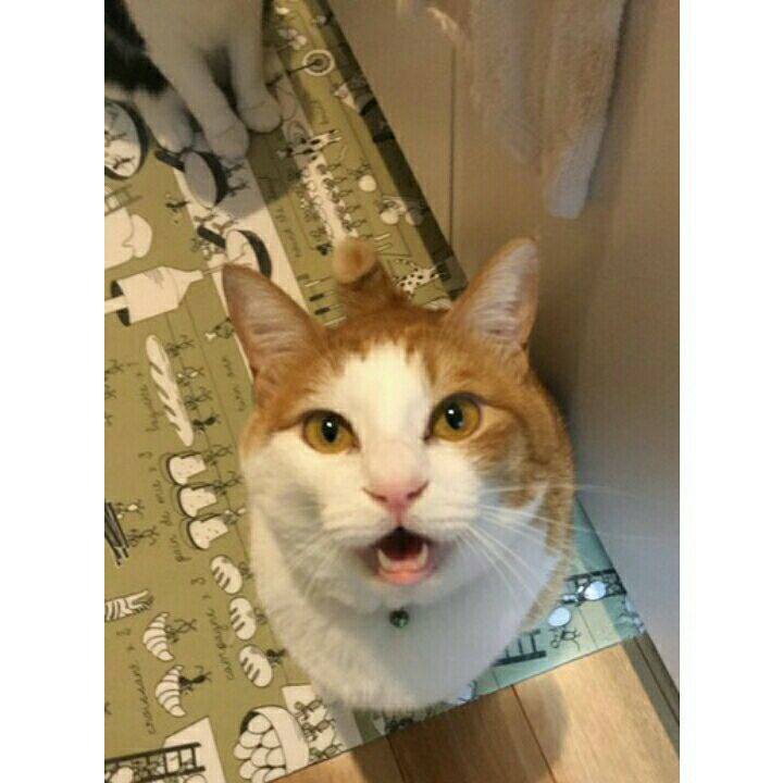 Edd4f751 3c02 4802 a762 013a74ab3979 1514731310800