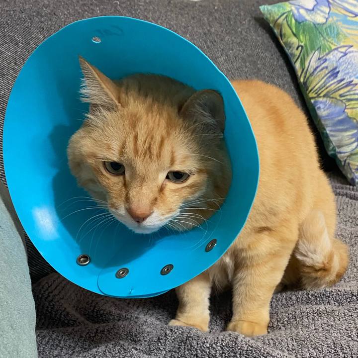 Edd4f780 fd4f 44cb aaff e4fc78a55a97 1619658950793