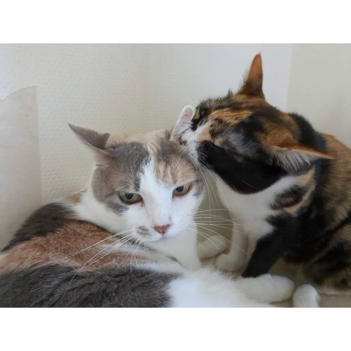 Edd4fbb2 2ba5 4b1a b6b7 f31b9f9d5e0e 1686123413507