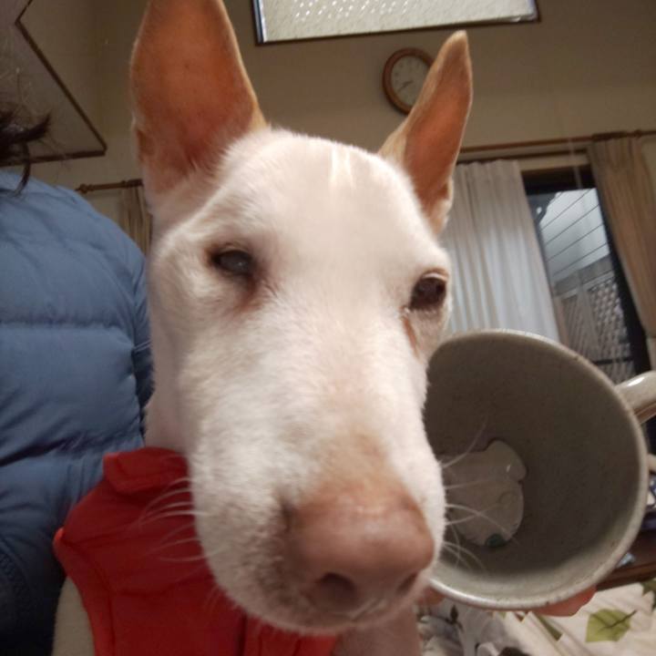 Edd50265 2633 4304 abdb 3c8b4a414320 1551570238389