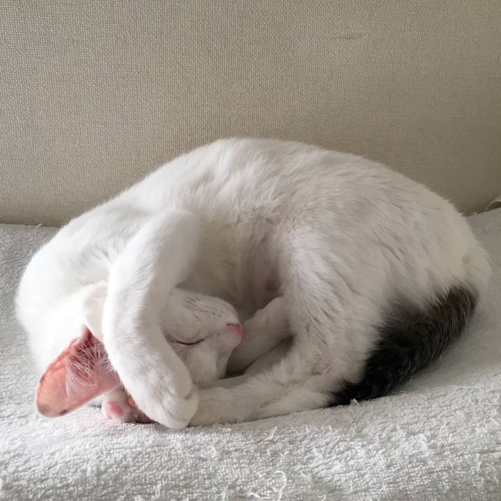 Edd512d8 6994 401d b8f8 3c1ad6e657b2 1511422583907