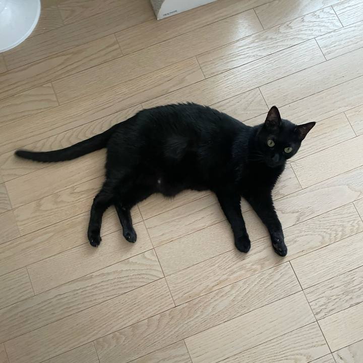 Edd570d9 a41c 4c92 aa96 2a9a1d8891bd 1751967405163