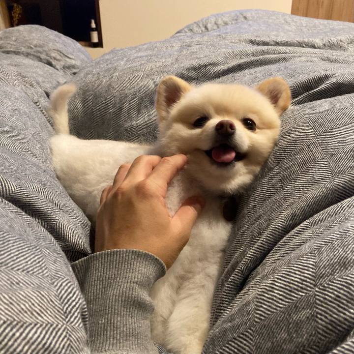 Edd58459 b85c 4077 8289 9124fbf6b5dd 1621209843992