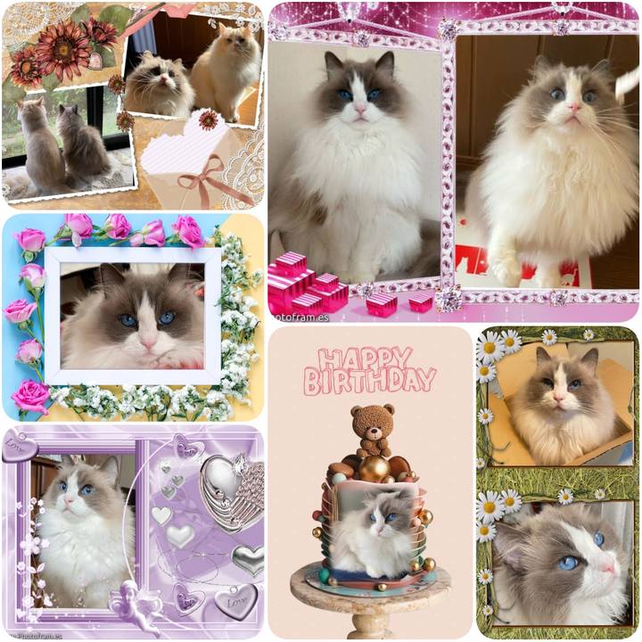 Edd58e68 9ad9 405a a7ea b452d03e6fa6 1631901045279