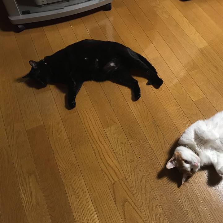 Edd5b919 c6e5 4ce3 87ab 282b0f7c758b 1619520639343