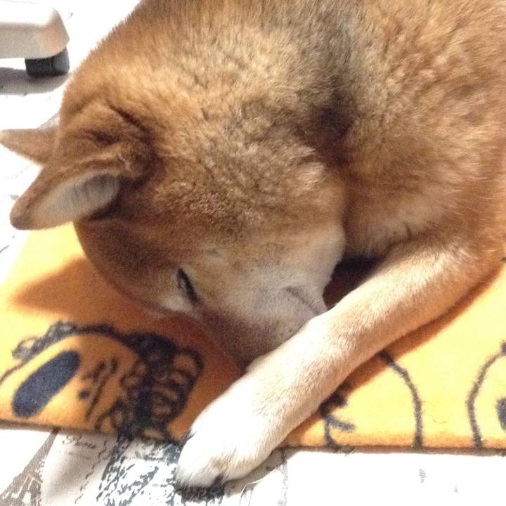 Edd5ddc3 41e6 4fa7 9200 5ac41a7dd1b7 1520847878426