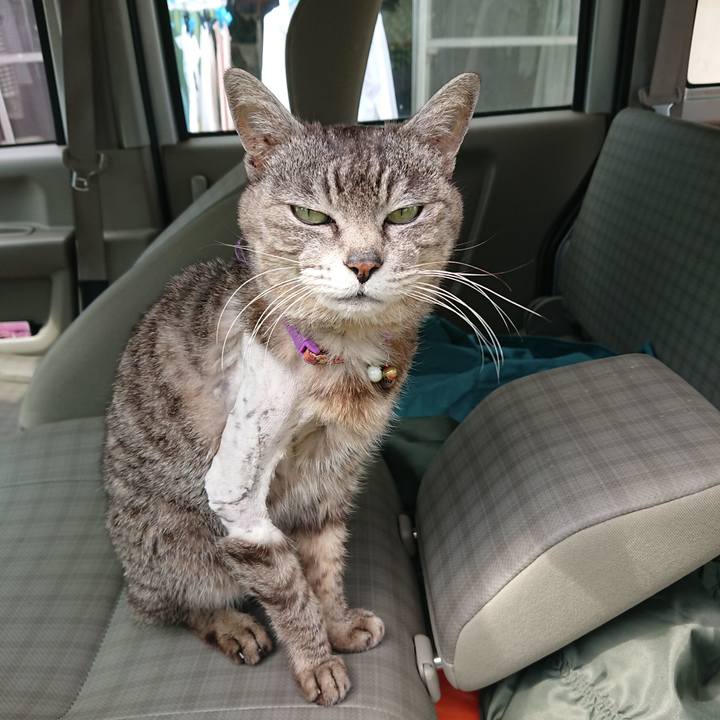 Edd601f0 b9ea 4bb5 83f2 b87a6a54013e 1588568251449