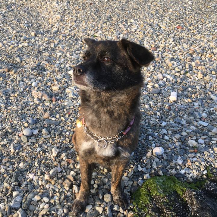 Edd60495 19b6 4adb 96d7 ab9c391a931c 1526942033657