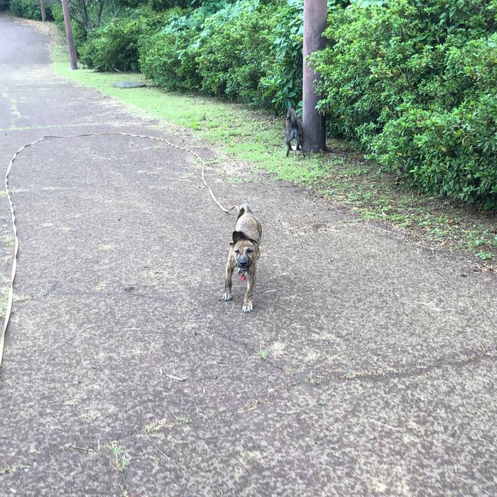 Edd606b9 f9e6 4fba 890c bcc6bdef6862 1569830134886