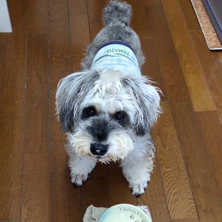 Edd64238 7726 4a73 bc18 b50ed45ad79a 1754358879035