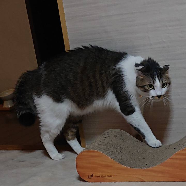 Edd663de b30d 47b3 980e f08dce25cf16 1574955608792