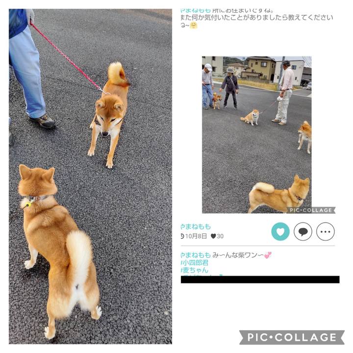 Edd698a9 2bf7 4c8a b7d1 d30320e3f244 1700100923189