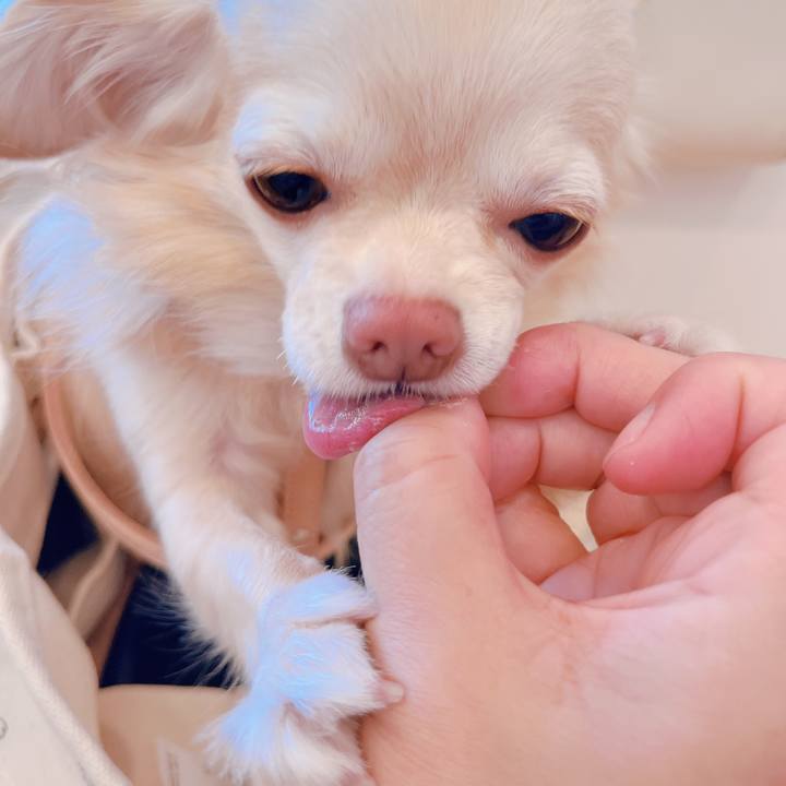 Edd69d9f 4e54 40d4 88cf c9307e6d943c 1663325752838