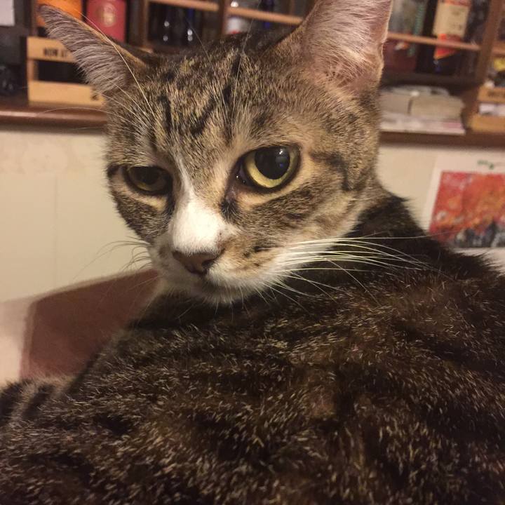 Edd6a13e 06e4 4637 8790 cead1d6615d2 1571573275471