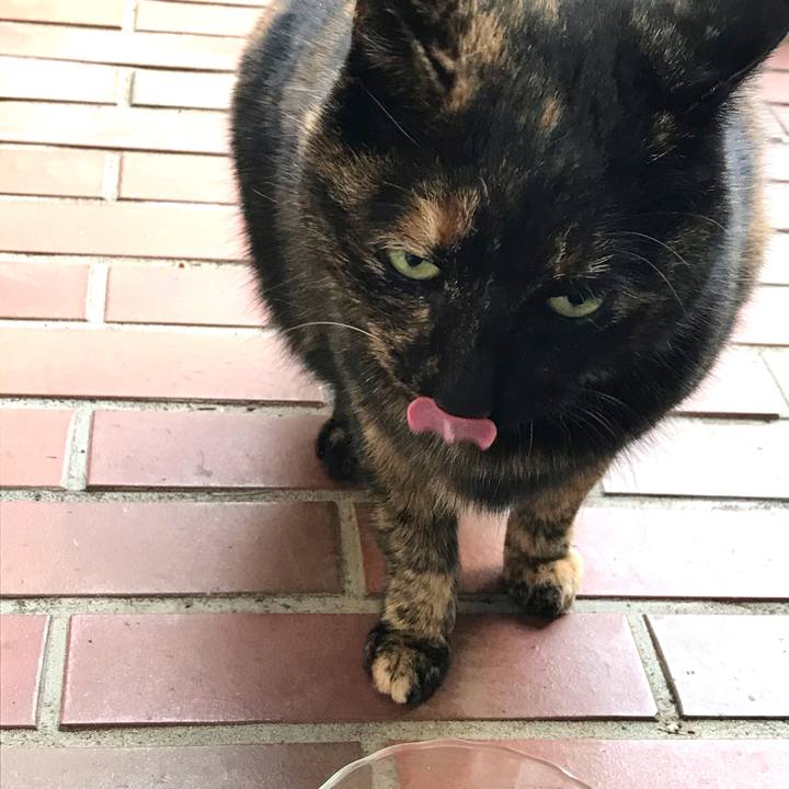 Edd6ab3a 9686 42a0 8e8f 3a23d441a787 1610251432542